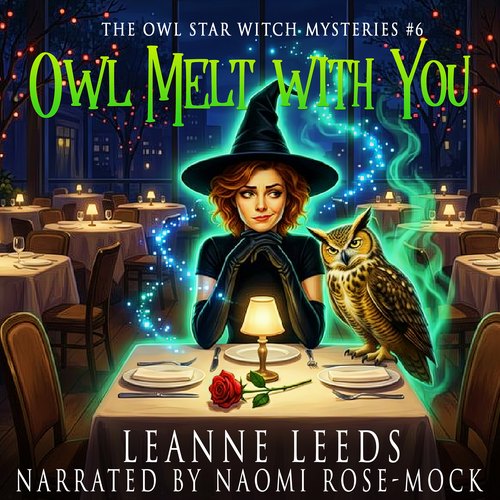 Owl Melt with You audiobook